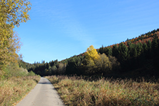 Kellwassertal, Blick nach Osten