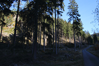 eine Klippe im Kellwassertal