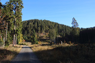 Blick vom Kellwassertal auf das untere Teil der "Problemstrecke"