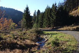 das Kellwasser, Blick flussabwärts