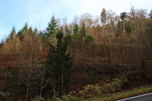 Blick Richtung Sternplatz