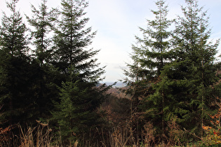 westlich vom Sternplatz, Blick nach Westen