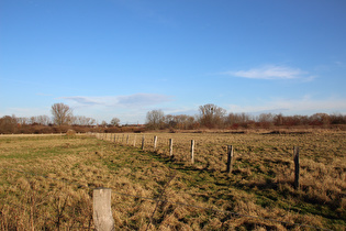 Leinemasch zwischen Hannover und Letter, Blick nach Norden …