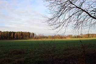 zwischen Resse und Brelingen, Blick nach Nordwesten