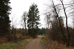 im Steilstück auf dem Weg zur Hohen Warte