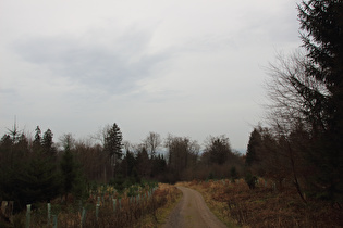 Blick von der Hohen Warte nach Nordosten