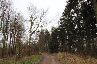 Kammweg, Blick Richtung Laube