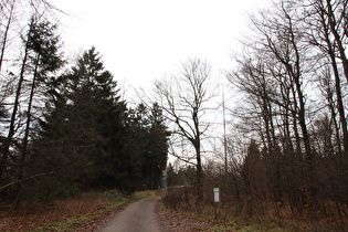 Kammweg, Blick Richtung Bröhn