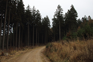 unterhalb der Hirschköpfe, Blick nach Osten, …