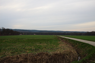 westlich von Wennigsen, Blick zum Deister