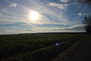 Blick nach Südwesten auf den Solling, …