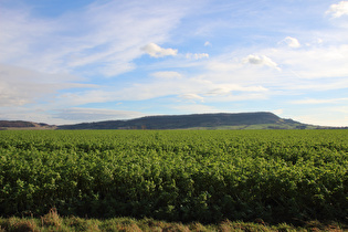 … Blick nach Südosten auf den Holzberg …