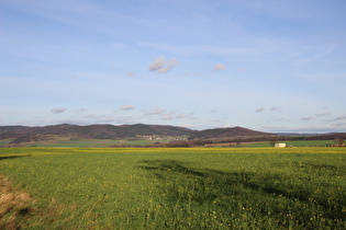 Rapsblüte bei Arholsen