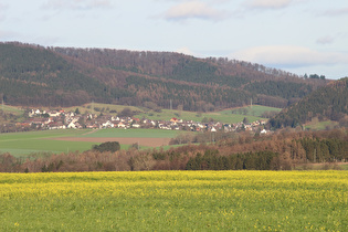 Zoom auf den blühenden Raps, Holenberg und den Vogler