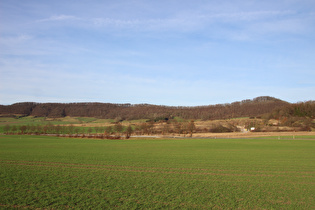 … Blick auf den östlichen Teil des Burgbergs …