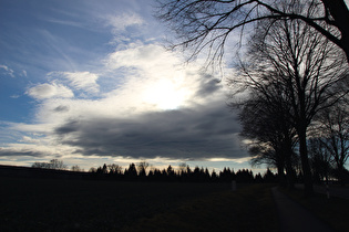 zwischen Bevern und Allerheim, Blick nach Süden