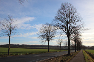 zwischen Harenberg und Lenthe, Blick nach Süden