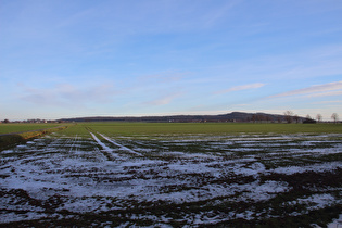 Blick vom Großen Holz auf den Benther Berg