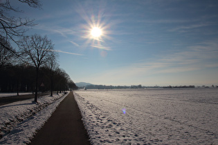 zwischen Harenberg und Lenthe, Blick nach Süden