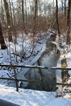 die Kirchwehrener Landwehr im Großen Holz, Blick flussabwärts …