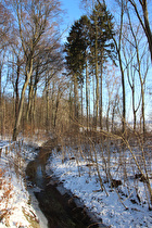 … und Blick flussaufwärts