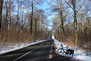 Calenberger Land (Großes Holz)