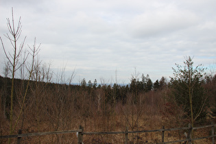 Blick vom Süerser Brink nach Norden