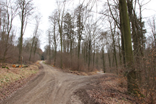 zur Hohen Warte links, zum Nienstedter Pass rechts