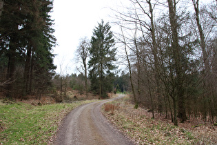 im Steilstück auf dem Weg zur Hohen Warte