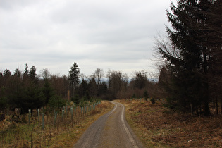 Blick von der Hohen Warte nach Nordosten