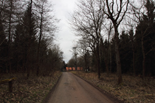 Kammweg auf der Bröhn, Blick Richtung Annaturm …