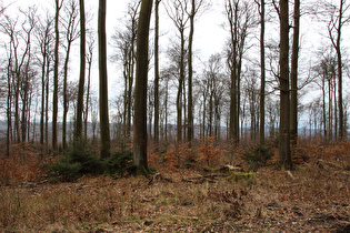 Blick vom Kammweg nach Südwesten