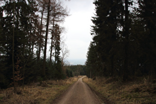 bei den Hirschköpfen, Blick nach Nordosten