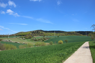 zwischen Hastenbeck und Vorembeck, Blick auf den Schecken