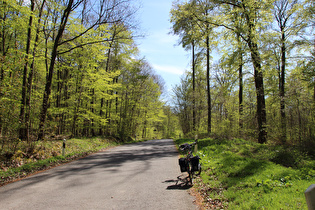 … und Blick nach Süden