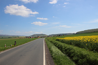 zwischen Börry und Heyen, Blick nach Süden auf die Hohe Knapp