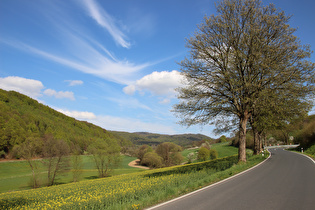 Rühler Schweiz bei Rühle, Blick zum Ebersnacken im Vogler