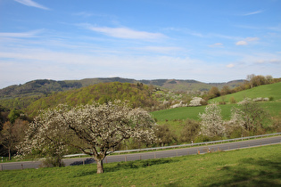 Blick zum Vogler