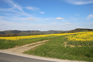 Blick zum Vogler