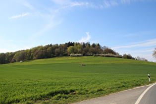 Blick zum Hangberg