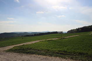 Blick zum Köterberg am Horizont