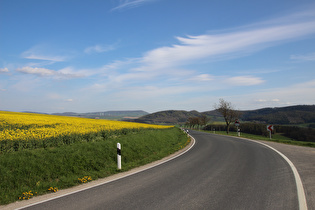 Blick zum Holzberg und zum Burgberg