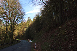 Reste des Erdrutsches im Hooptal, Blick talaufwärts