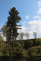 Anstieg von Barsinghausen, Blick nach Südosten