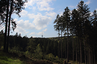 Blick zum Fernmeldeturm auf dem Großen Hals