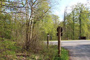 Blick vom Kammweg zur Passhöhe des Nienstedter Passes