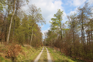 weiter oben, Blick nach Südosten …