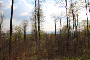 … und Blick nach Westen zum Süntel