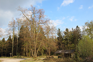 Laube, Blick nach Süden …