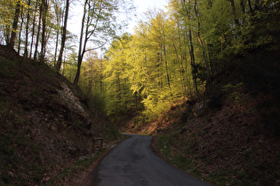 Jägerallee, Steilstück weiter unten, Blick bergauf …